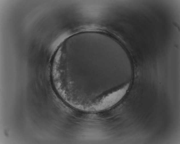 X0000103961463200810101233