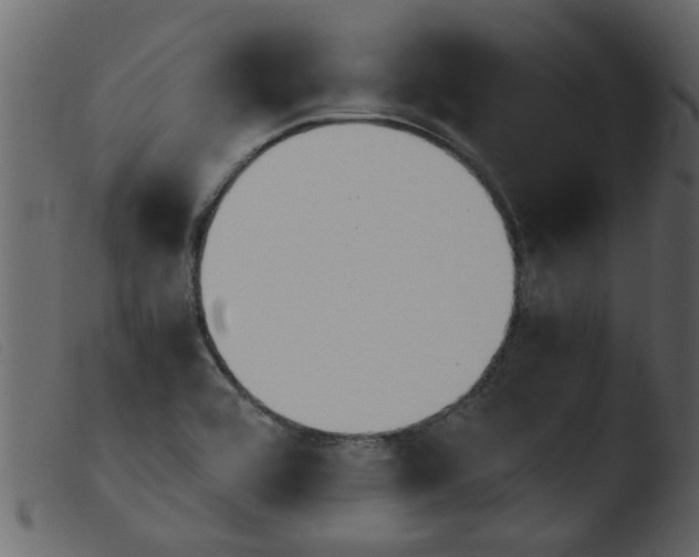 X0000103961464200810101233