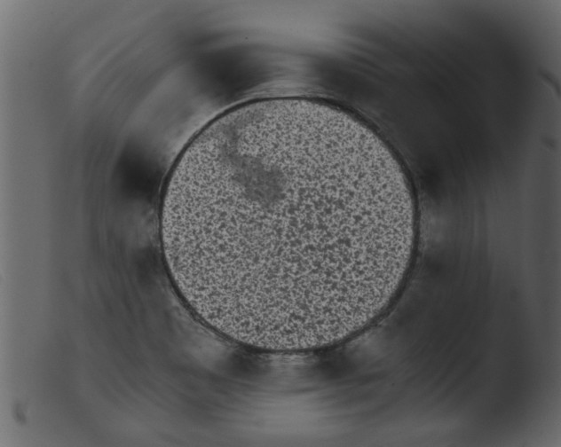 X0000103961465200810101233