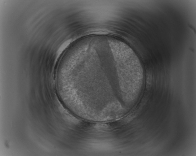 X0000103961466200810101233