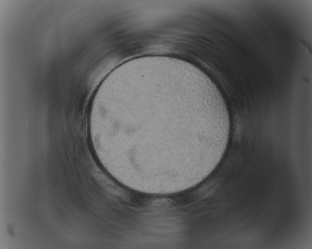 X0000103961467200810101233