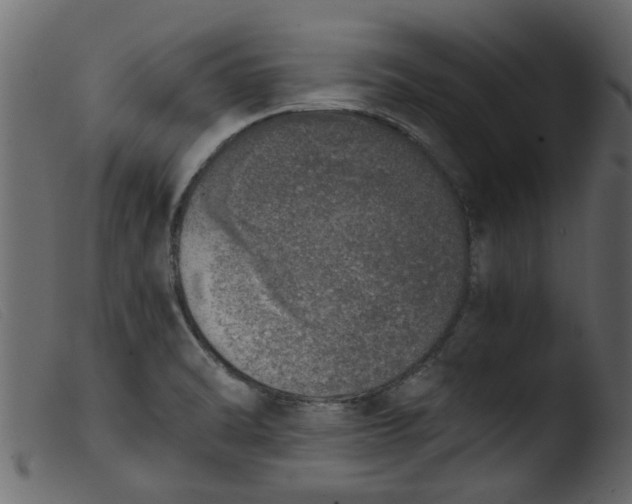 X0000103961470200810101233