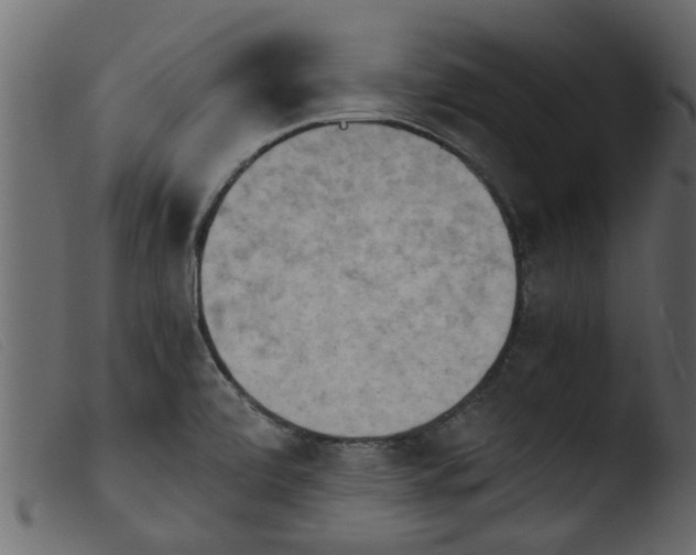 X0000103961472200810101233