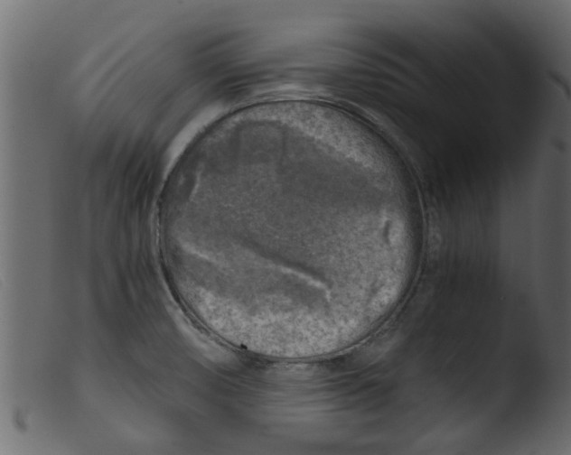 X0000103961474200810101233