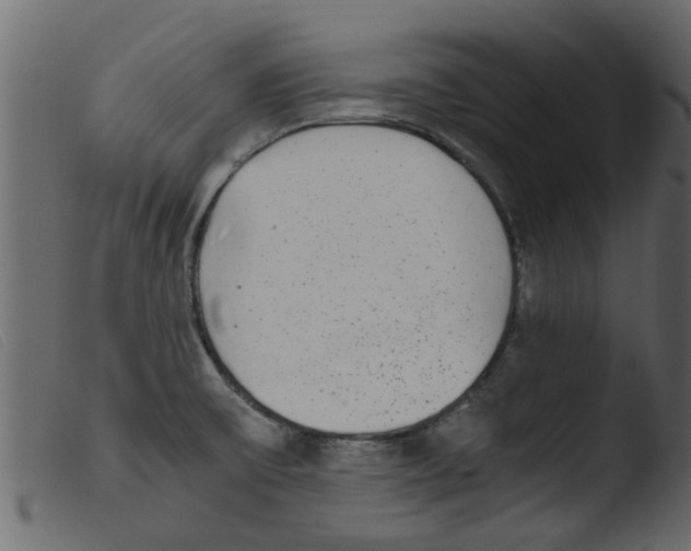 X0000103961475200810101233