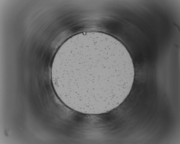 X0000103961476200810101233