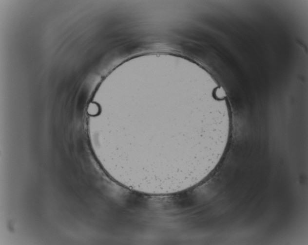 X0000103961477200810101233