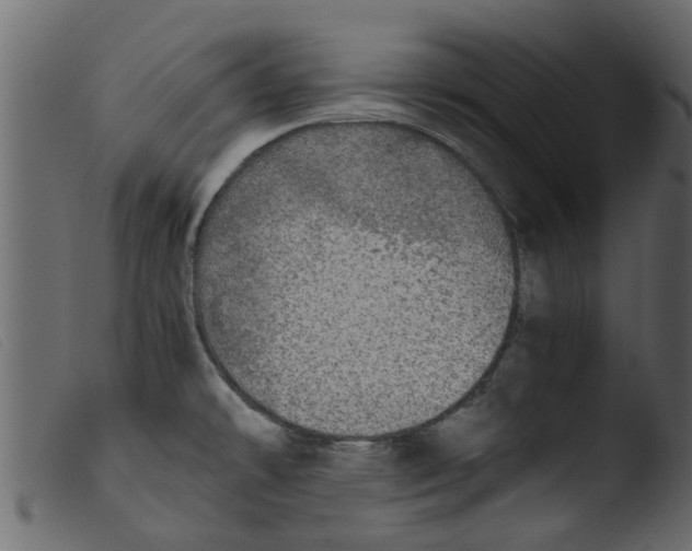 X0000103961478200810101233