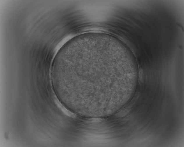 X0000103961482200810101233