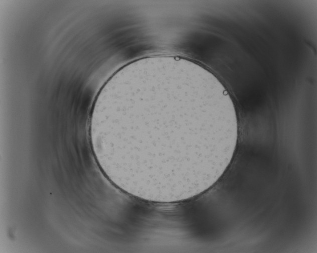 X0000103961484200810101233