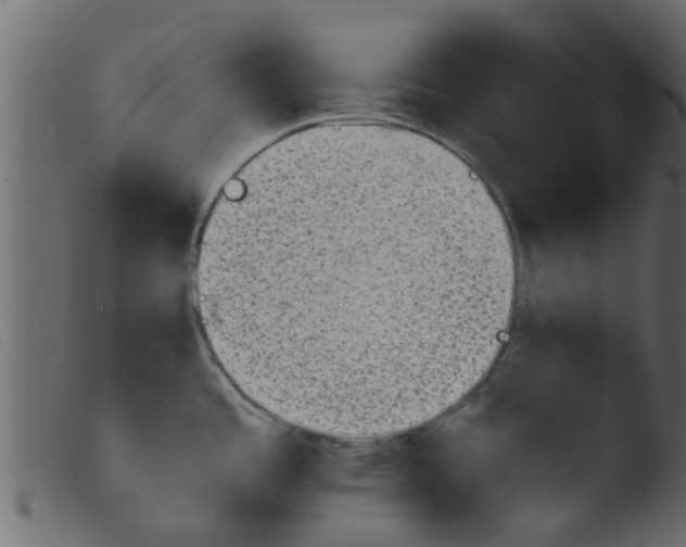 X0000103961485200810101233