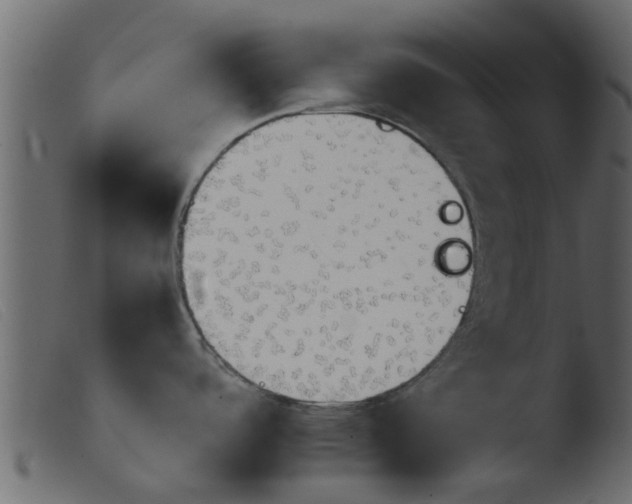 X0000103961488200810101233