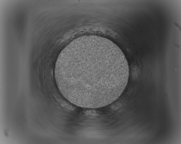 X0000103961489200810101232