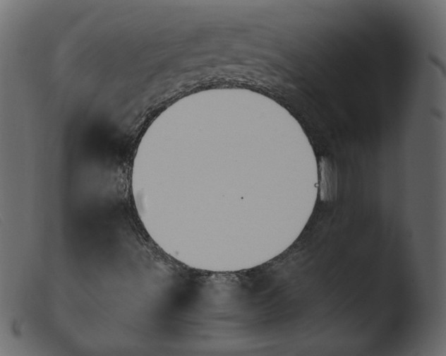 X0000103961491200810101232