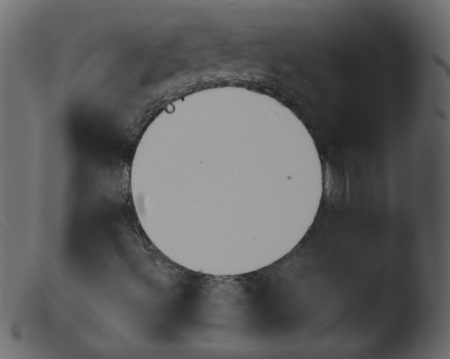 X0000103961492200810101232