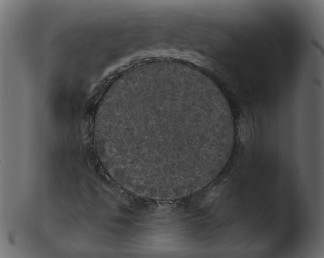 X0000103961494200810101232