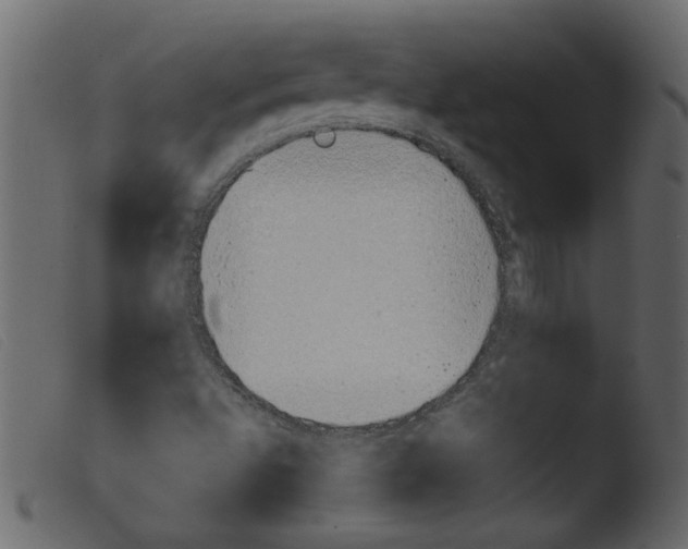 X0000103961496200810101232