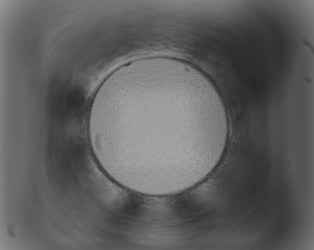 X0000103961500200810101232