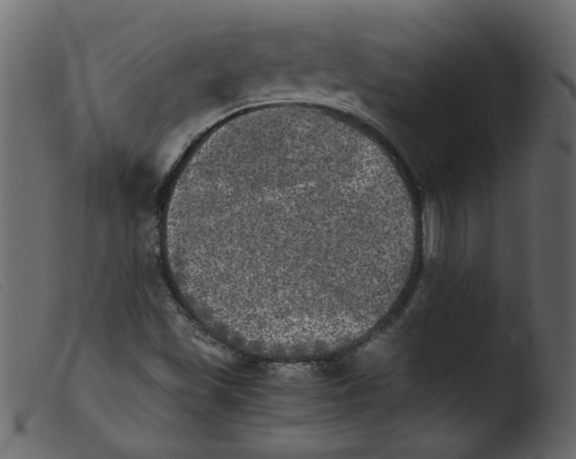 X0000103961501200810101232