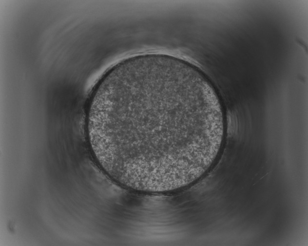 X0000103961502200810101232