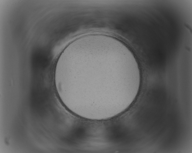 X0000103961504200810101232