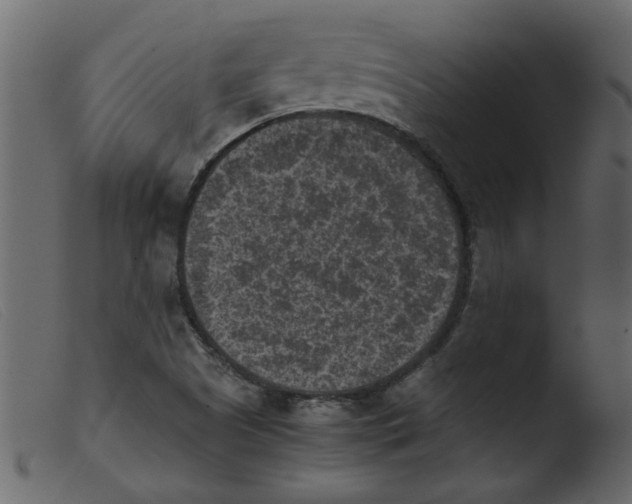 X0000103961505200810101232