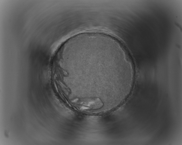 X0000103961506200810101232