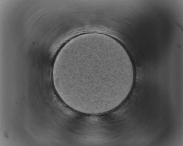 X0000103961507200810101232