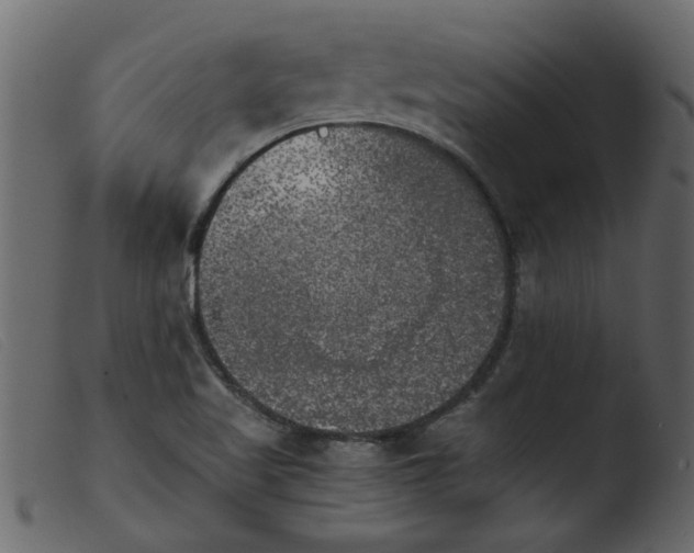 X0000103961509200810101232