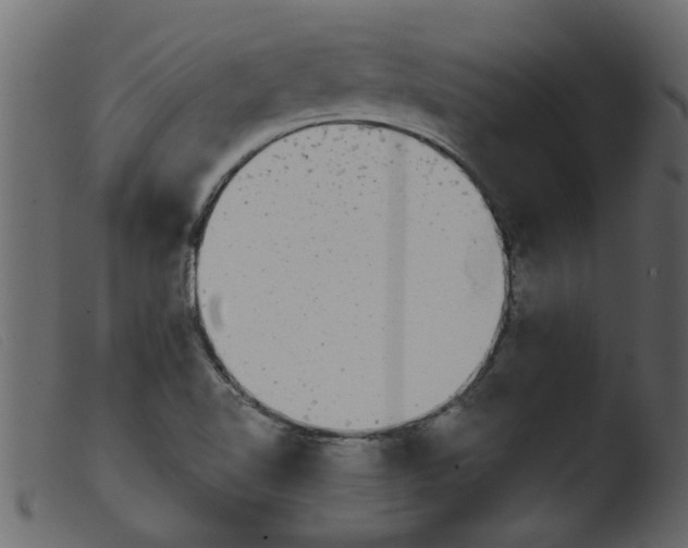 X0000103961510200810101232