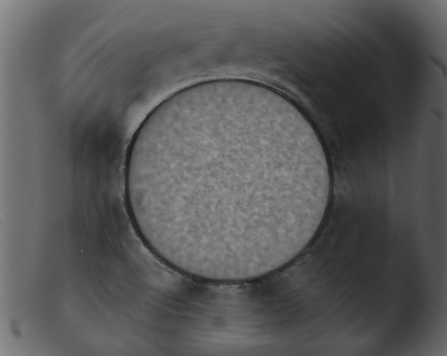 X0000103961512200810101232