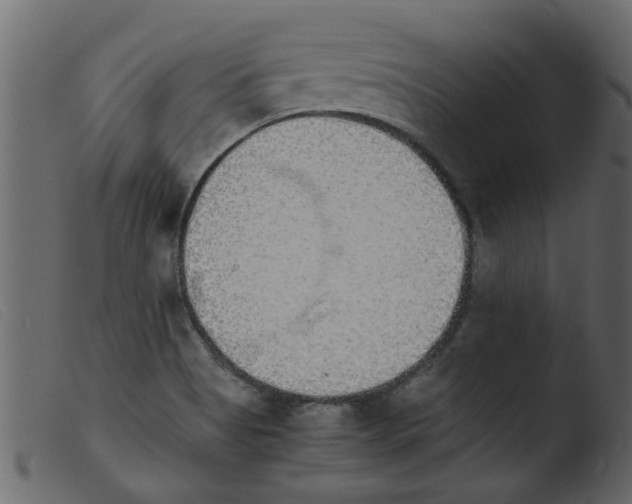 X0000103961513200810101232