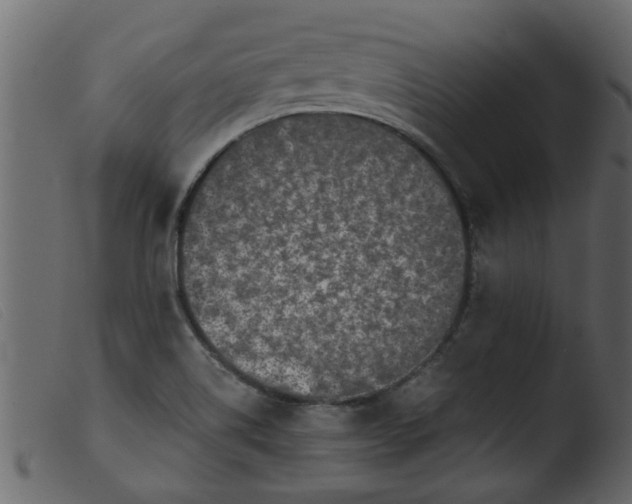 X0000103961514200810101232