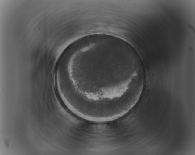 X0000103961515200810101232