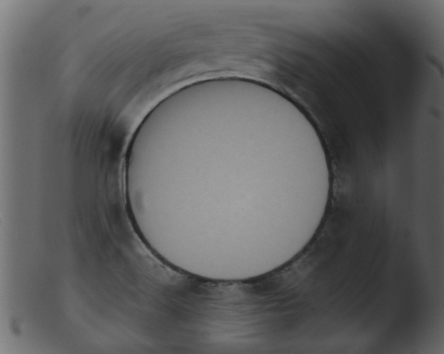 X0000103961516200810101232