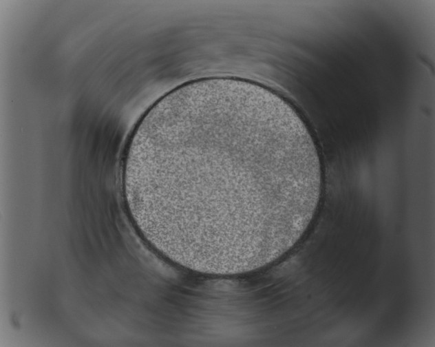 X0000103961517200810101232