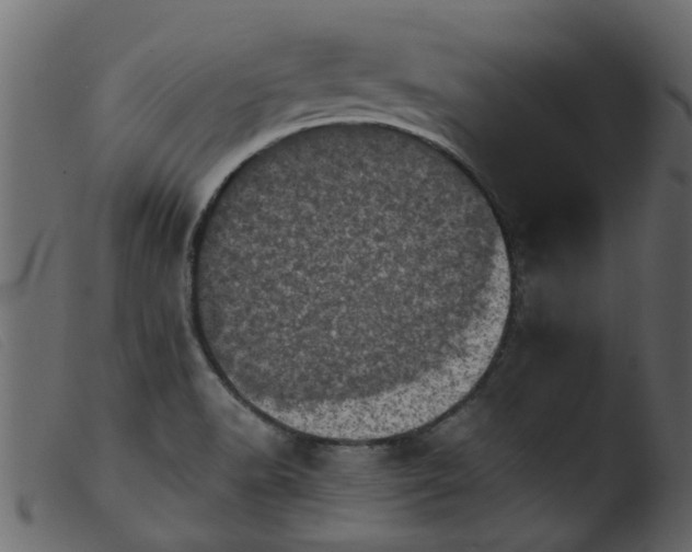 X0000103961518200810101232