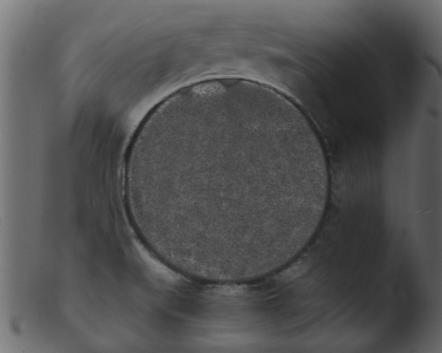 X0000103961519200810101232