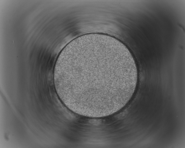 X0000103961521200810101232