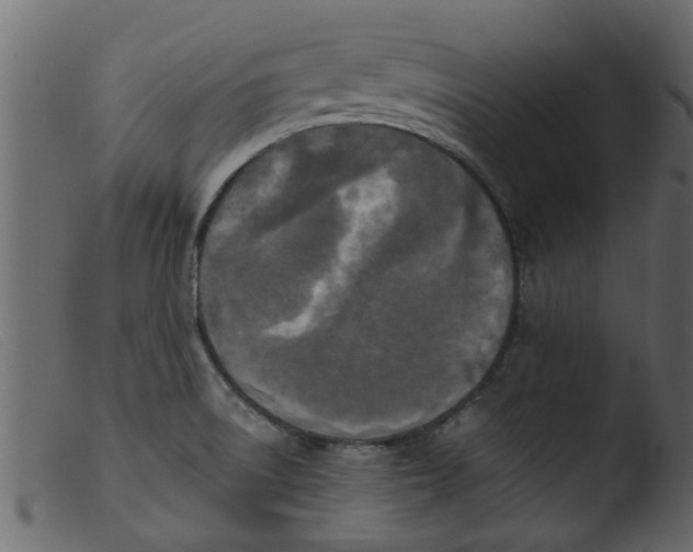 X0000103961522200810101232