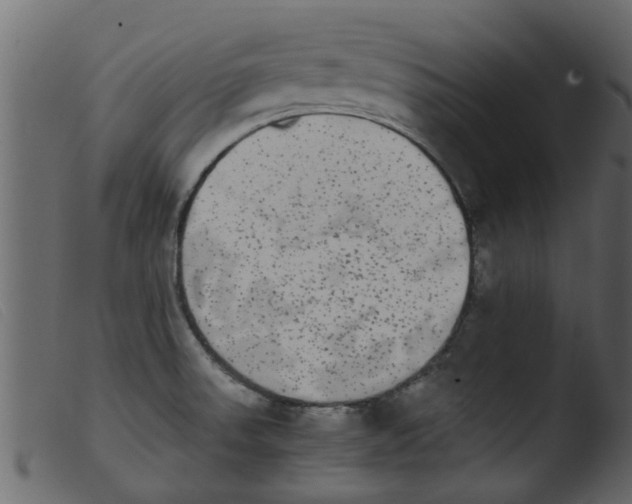 X0000103961523200810101232