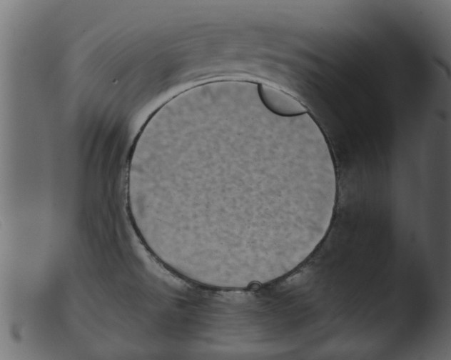 X0000103961526200810101232