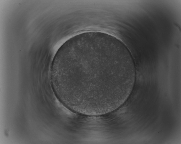 X0000103961527200810101232