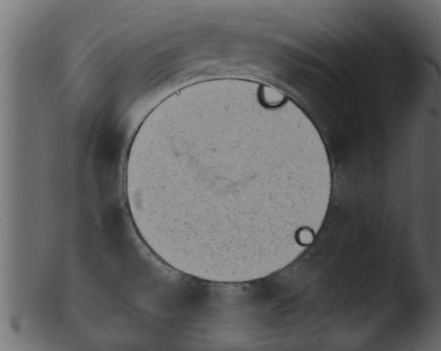 X0000103961528200810101232