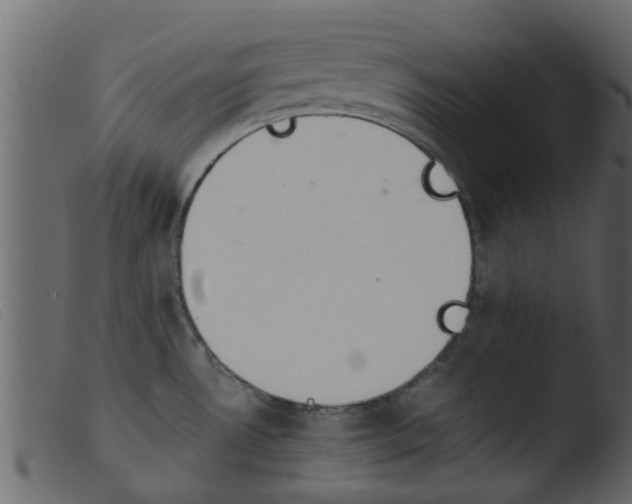 X0000103961530200810101232