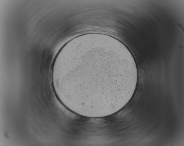 X0000103961531200810101232