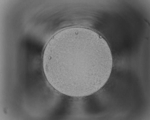 X0000103961532200810101232