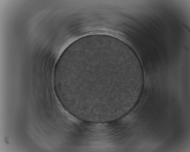 X0000103961533200810101232