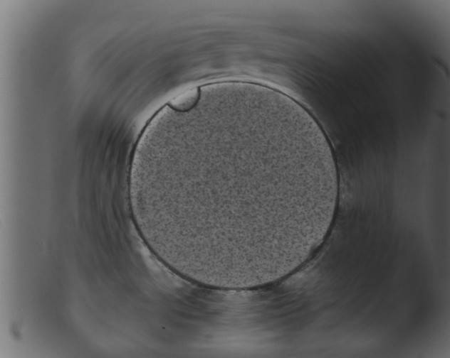 X0000103961534200810101233