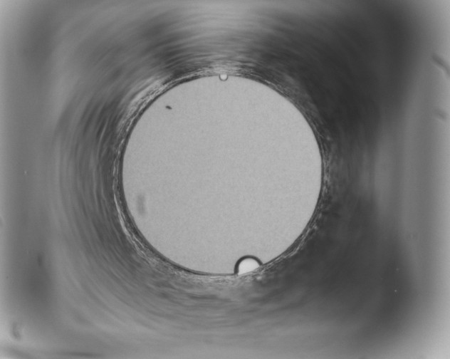 X0000103960001200810171912